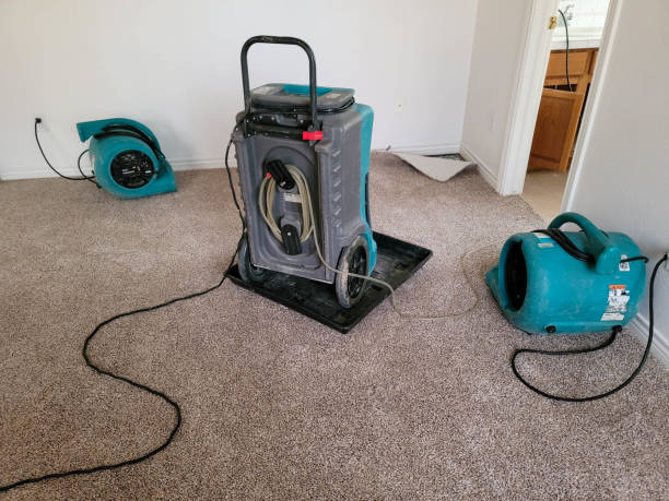 Best Flood restoration services  in Harwich Center, MA