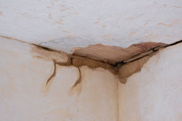 Best 24/7 water damage repair  in Harwich Center, MA