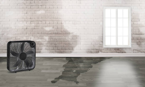  Harwich Center, MA Water damage restoration Pros