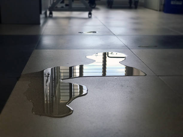 Best 24/7 water damage repair  in Harwich Center, MA