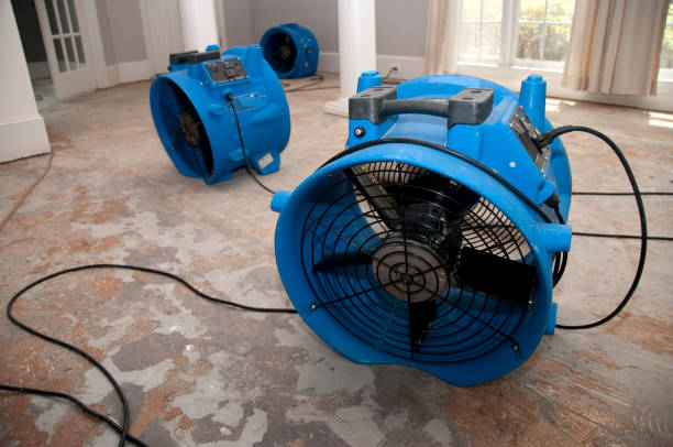 Best Flooded house restoration  in Harwich Center, MA