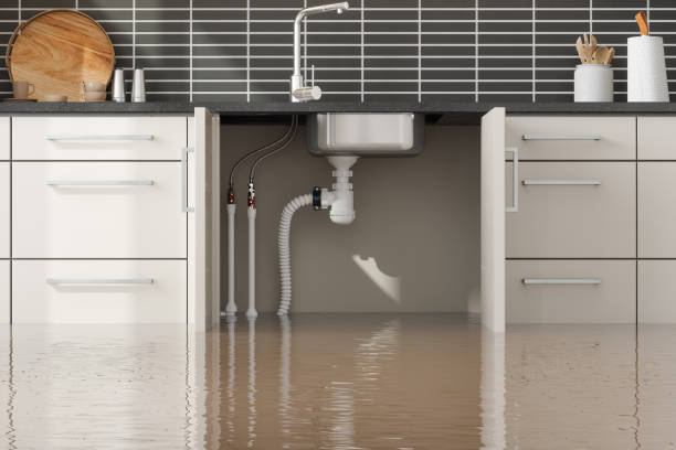 Best Ceiling water damage repair  in Harwich Center, MA