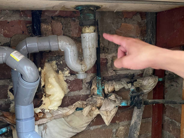 Best Carpet water damage restoration  in Harwich Center, MA