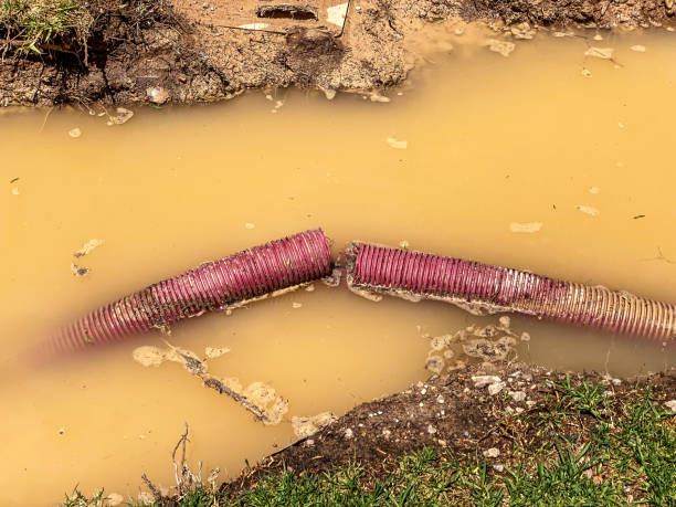 Best Flood restoration services  in Harwich Center, MA