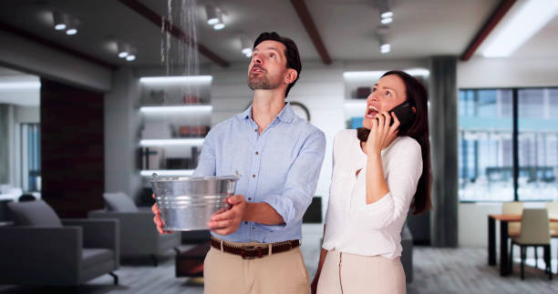 Best Water damage restoration specialists  in Harwich Center, MA